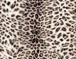 Arcadia High Waist Pant