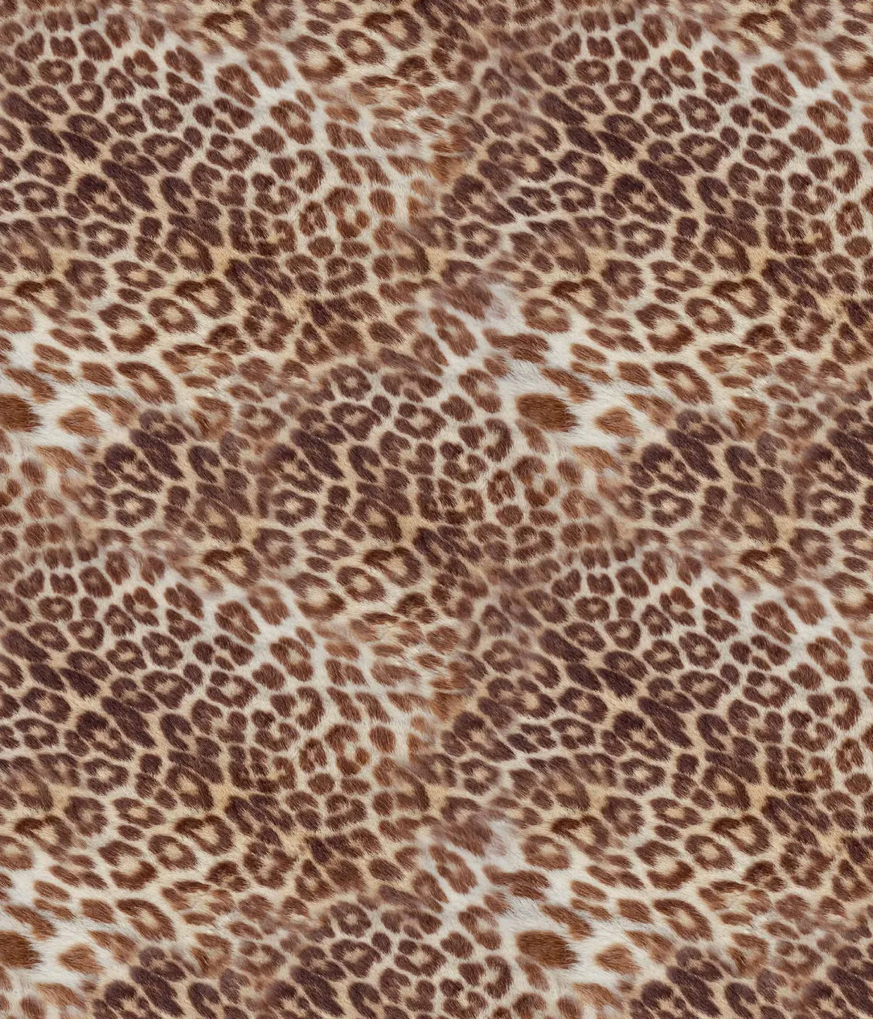 Chia Bralette Bikini Top