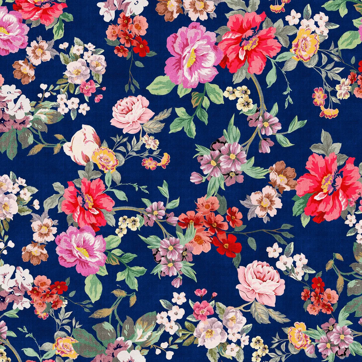 Gina up to a DD/E Coral Edge Bandeau