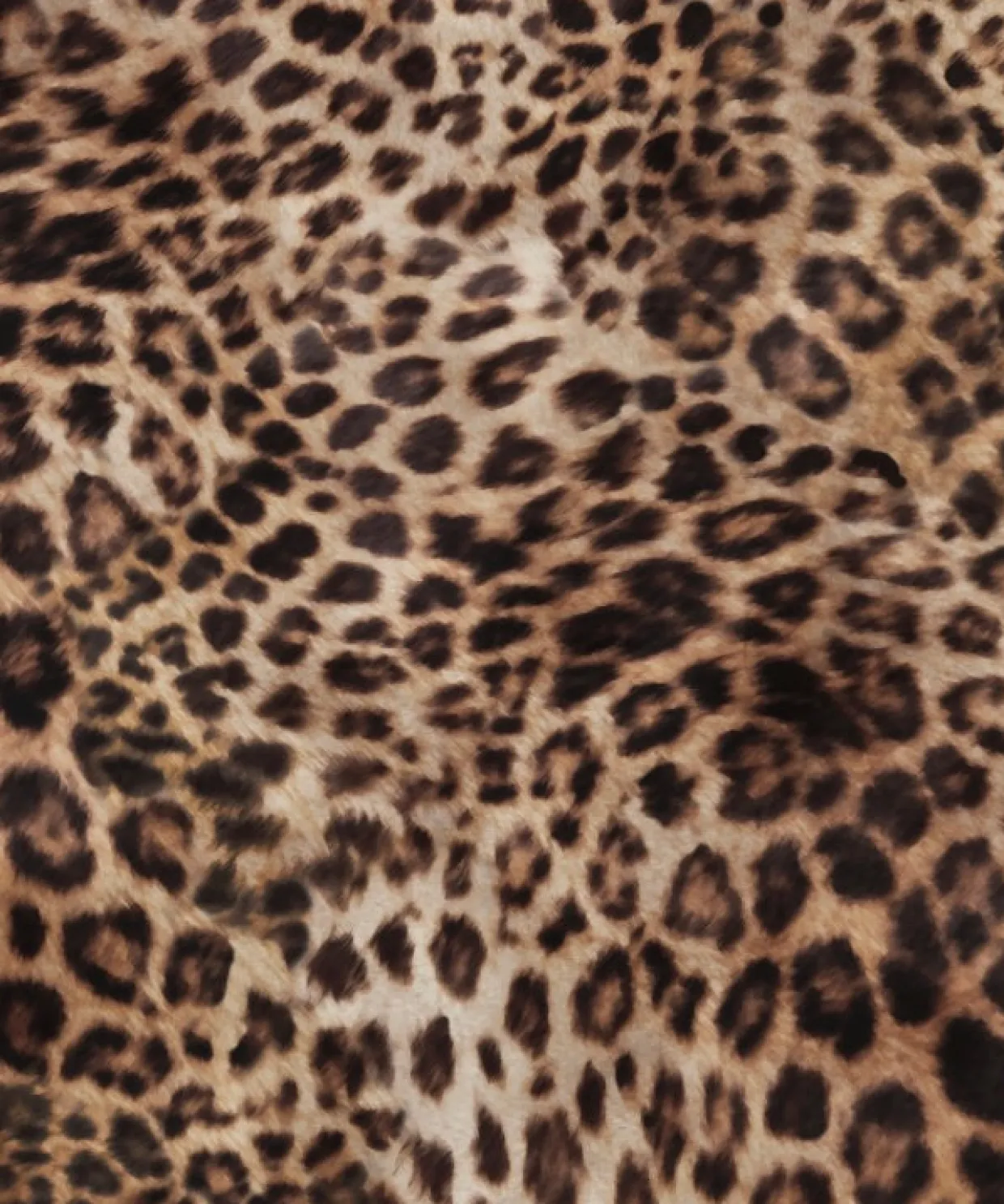 Romeo Racer Back Singlet